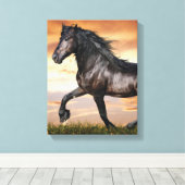 Schönes Schwarzes Pferd Leinwanddruck (Insitu (Holzboden))