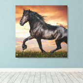 Schönes Schwarzes Pferd Leinwanddruck (Insitu (Holzboden))