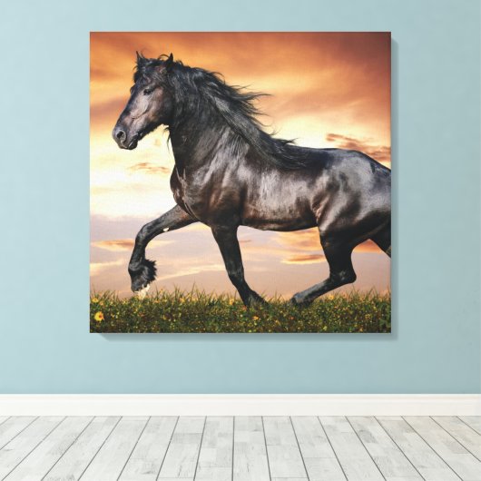Schönes Schwarzes Pferd Leinwanddruck (Insitu (Holzboden))
