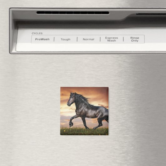 Schönes Schwarzes Pferd Magnet (In Situ (Geschirrspüler))