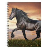 Schönes Schwarzes Pferd Notizblock (Vorderseite)