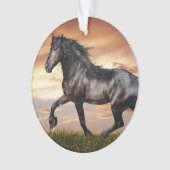 Schönes Schwarzes Pferd Ornament (Vorderseite)