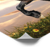 Schönes Schwarzes Pferd Poster (Ecke)