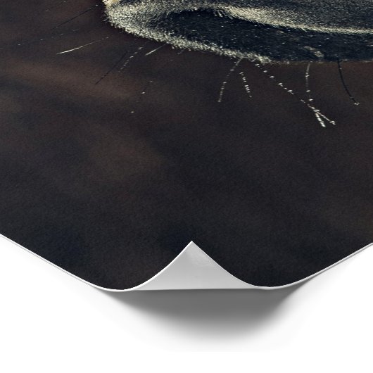 Schönes Schwarzes Pferd Poster (Ecke)