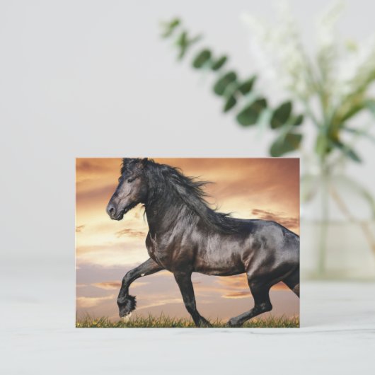 Schönes Schwarzes Pferd Postkarte (Stehend Vorderseite)