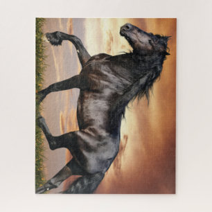 Schönes Schwarzes Pferd Puzzle