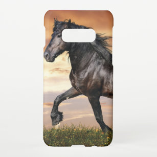 Schönes Schwarzes Pferd Samsung Galaxy S10E Hülle