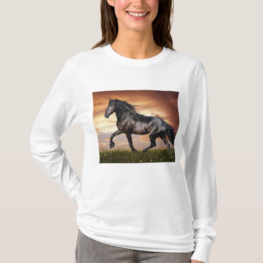 Schönes Schwarzes Pferd T-Shirt (Vorderseite)