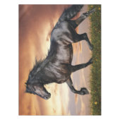 Schönes Schwarzes Pferd Tischdecke (Vorderseite)