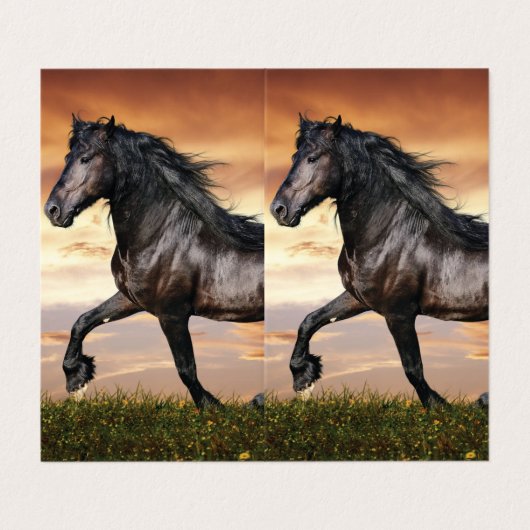 Schönes Schwarzes Pferd Visitenkarten (Außenseite Aufgefaltet)