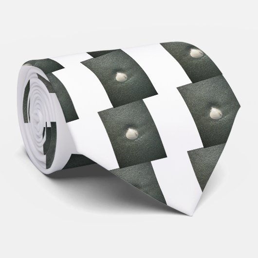 Schönes Seashell im Sand: Ein Salty Souvenir Krawatte (Gerollt)