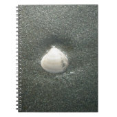 Schönes Seashell im Sand: Ein Salty Souvenir Notizblock (Vorderseite)