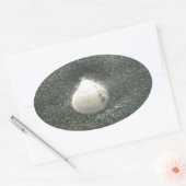 Schönes Seashell im Sand: Ein Salty Souvenir Ovaler Aufkleber (Umschlag)