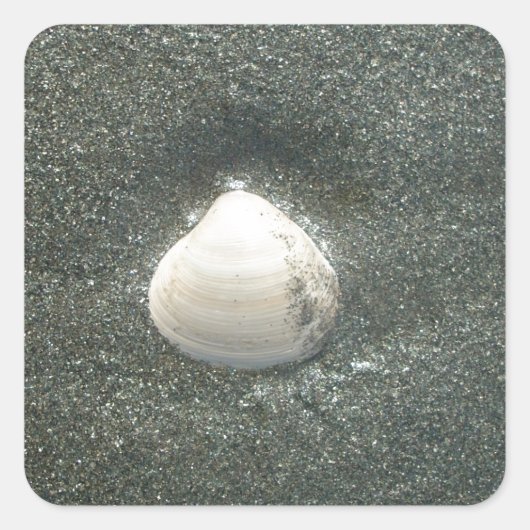 Schönes Seashell im Sand: Ein Salty Souvenir Quadratischer Aufkleber (Vorderseite)