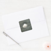 Schönes Seashell im Sand: Ein Salty Souvenir Quadratischer Aufkleber (Umschlag)