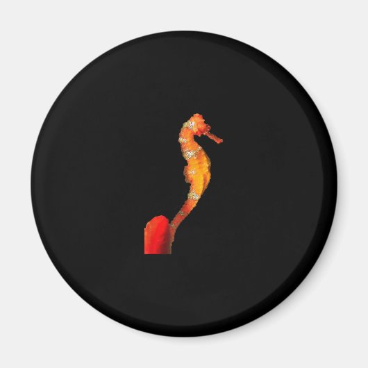 Schönes Seepferd vorne Magnet (Vorne)