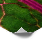 Schönes, sehr rotes und grünes Blättermuster Poster (Ecke)