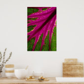 Schönes, sehr rotes und grünes Blättermuster Poster (Küche)