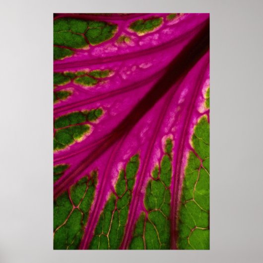 Schönes, sehr rotes und grünes Blättermuster Poster (Vorne)