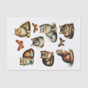 Schönes Set von Katzen und Schmetterlingen Fussy C Seidenpapier