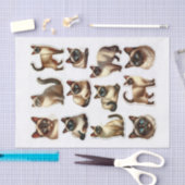 Schönes Set von Siamkatzen Fussy Cuts Seidenpapier (Handwerk)