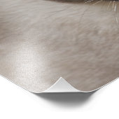 Schönes Siegel Point Siamese Katze Fotodruck (Ecke)