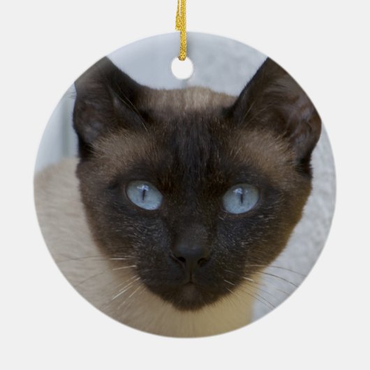 Schönes Siegel Point Siamese Katze Keramik Ornament (Hinten)