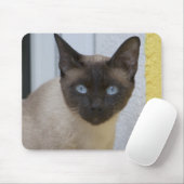 Schönes Siegel Point Siamese Katze Mousepad (Mit Mouse)