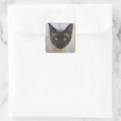 Schönes Siegel Point Siamese Katze Quadratischer Aufkleber (Tasche)