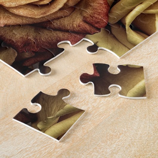 Schönes Siena Rose Foto Puzzle (Seite)