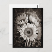 Schönes Sonnenblumen Bouquet Foto Schwarz & Weiß Postkarte (Vorne/Hinten)