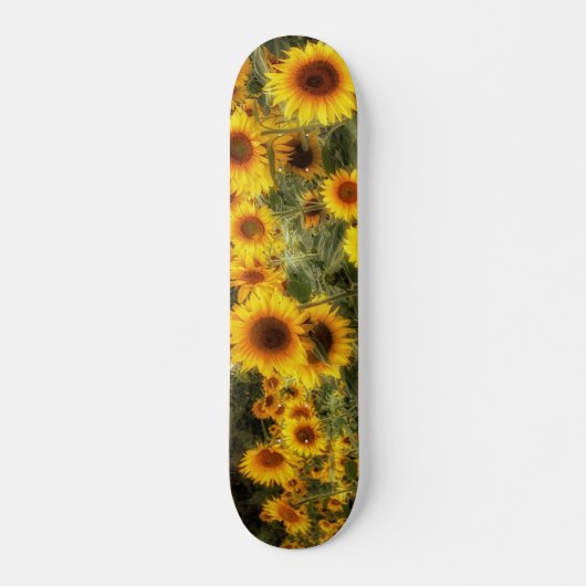 Schönes Sonnenblumenfeld-Foto Skateboard (Vorne)