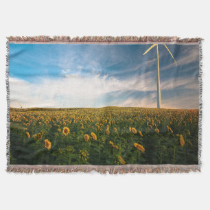 schönes Sonnenfeld mit bewölktem blauen Himmel a Decke