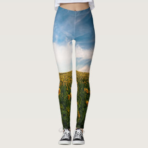 schönes Sonnenfeld mit bewölktem blauen Himmel a Leggings
