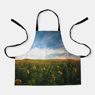 schönes Sonnenfeld mit bewölktem blauen Himmel a Schürze