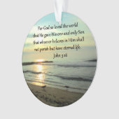 SCHÖNES SONNENUNTERNEHMEN JOHN 3:16 DESIGN ORNAMENT (Vorderseite)