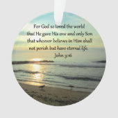 SCHÖNES SONNENUNTERNEHMEN JOHN 3:16 DESIGN ORNAMENT (Vorderseite)