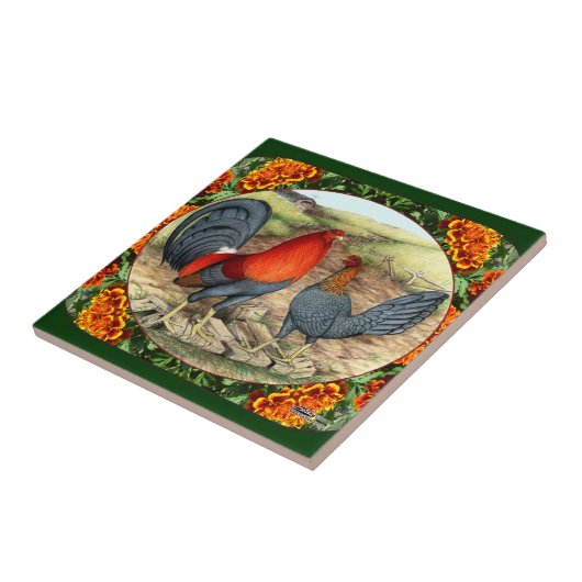 Schönes Spiel-Geflügel Fliese (Seite)