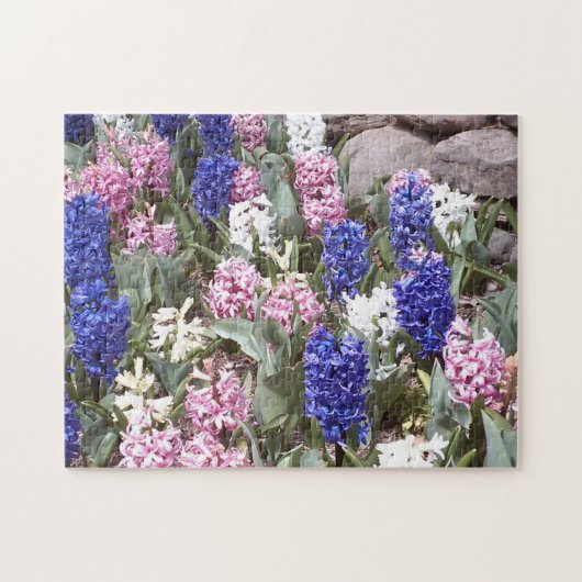 Schönes Spring Hyacinths Jigsaw Puzzle (Horizontal)