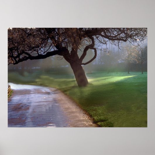 Schönes Tagesposter Poster (Vorne)