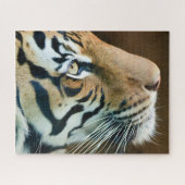 Schönes Tiger-Face-Foto Puzzle (Horizontal)