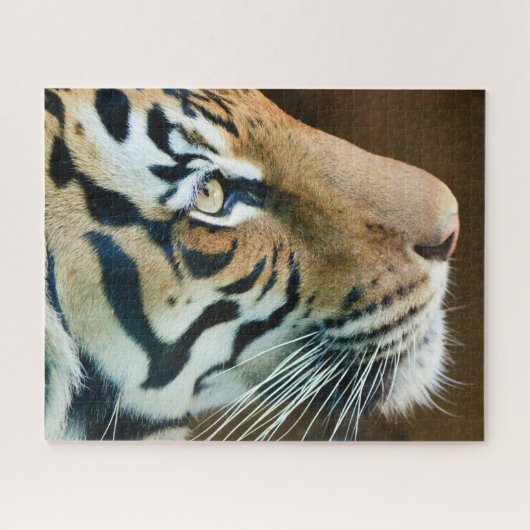 Schönes Tiger-Face-Foto Puzzle (Horizontal)
