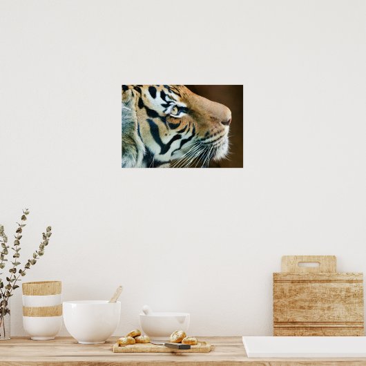Schönes Tiger-Gesicht in Profil Poster (Küche)