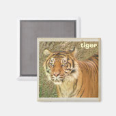 Schönes Tiger Magnet! Magnet (Vorderseite/Rückseite)