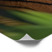 Schönes Tiger-Profil Poster (Ecke)
