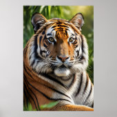 Schönes Tiger-Profil Poster (Vorne)