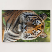 Schönes Tiger-Profil Puzzle (Horizontal)