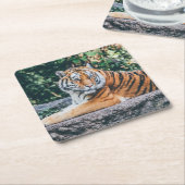 Schönes Tiger Untersetzer Set (angewinkelt)