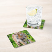 Schönes Tiger Untersetzer Set (Vor Ort)