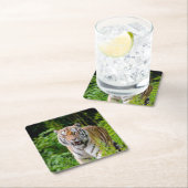 Schönes Tiger Untersetzer Set (Vor Ort)